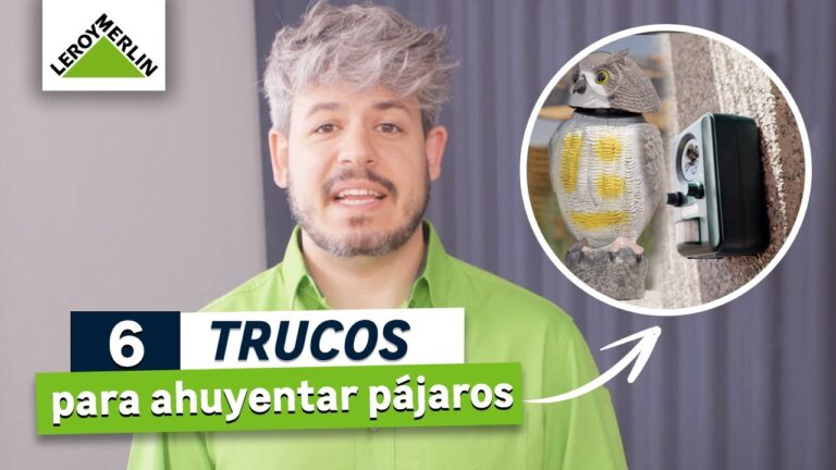 Toldos Eficaces para Repeler el Agua
