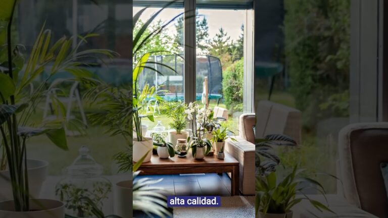 Ventanas de Aluminio: Calidad y Estilo Minimalista