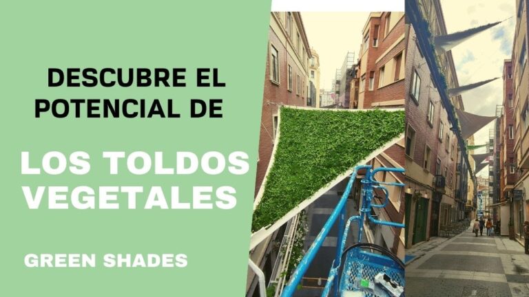 Beneficios de los Toldos para Piscinas