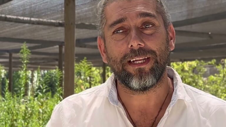 Guía para Elegir el Mejor Cerramiento de Jardín