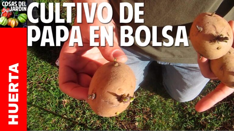 Cosecha Propia: Cultiva tu Jardín en Balcones de Apartamentos