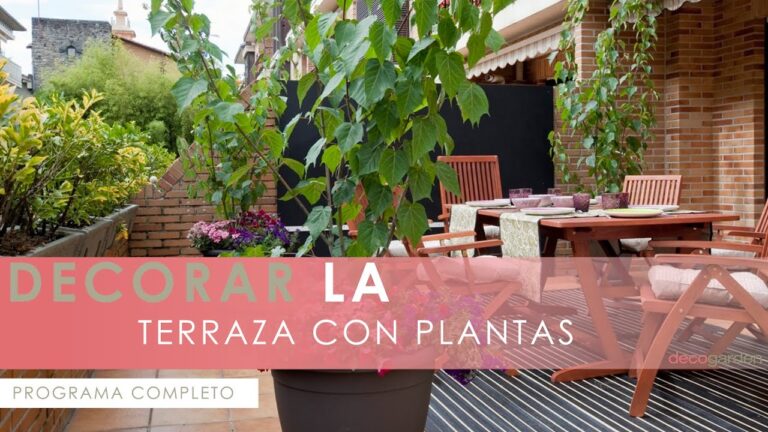 Terrazas con Jardines: Un Oasis de Paz en Casa