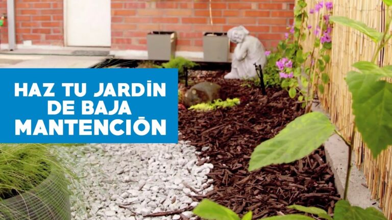Mantenimiento de Terrazas para una Decoración Perfecta