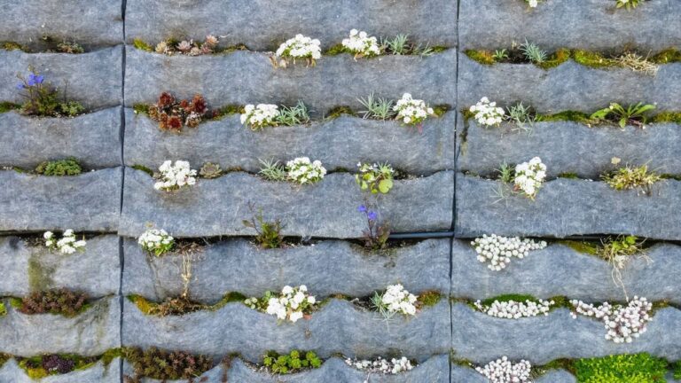 Consejos Esenciales para Jardines Verticales en Balcones