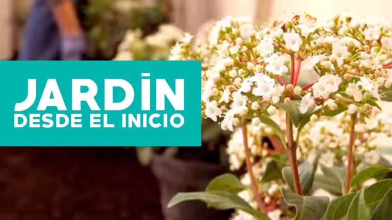 Gu&iacute;a para un Jard&iacute;n en Terraza Saludable