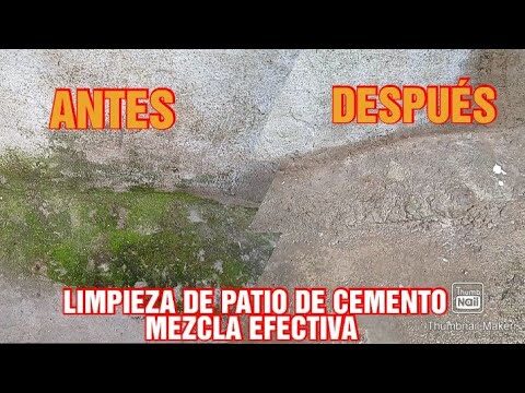 C&oacute;mo eliminar moho de terrazas al aire libre de manera efectiva