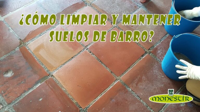 T&eacute;cnicas Efectivas de Limpieza para Terrazas con Macetas