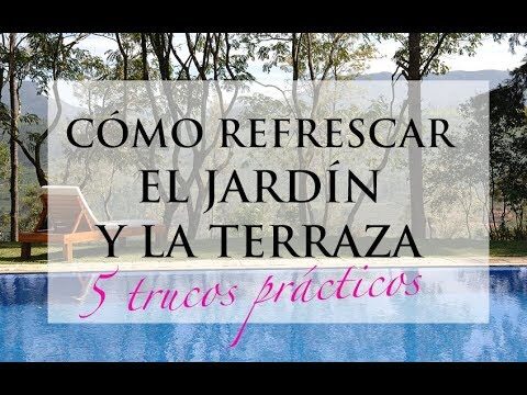 Ambientes Frescos: Jardines Verticales en Terrazas