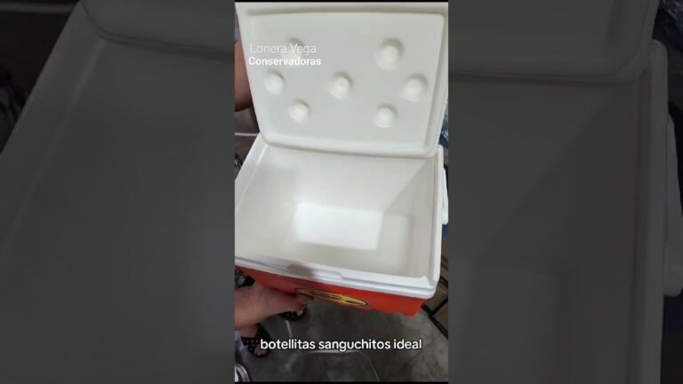 Estilo y Comodidad: Toldos Perfectos para la Playa