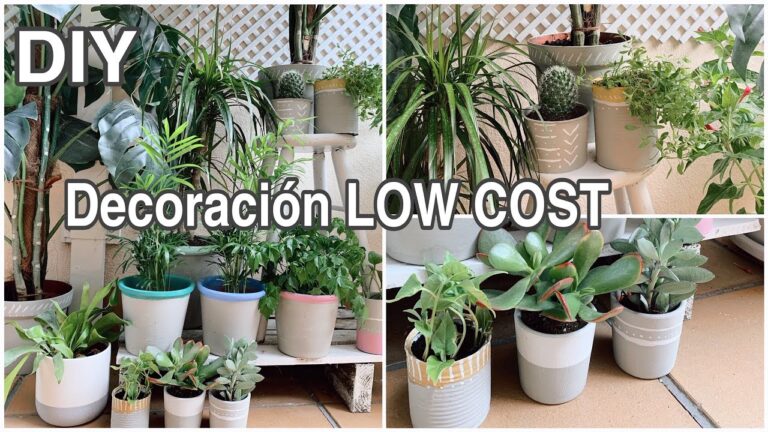 Transforma tu balcón con macetas vibrantes