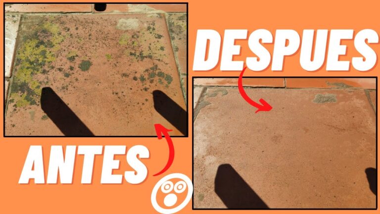 Guía Efectiva para la Eliminación de Suciedad en Terrazas