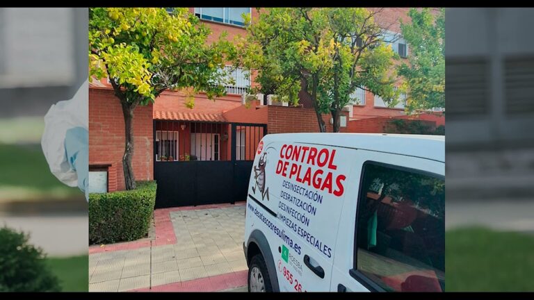 Técnicas Efectivas de Desinsectación para Terrazas