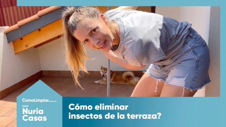 Estrategias Efectivas para Eliminar Insectos en la Limpieza de Terrazas