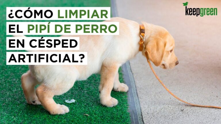 Gu&iacute;a de Productos Eco-Friendly para Limpiar Terrazas