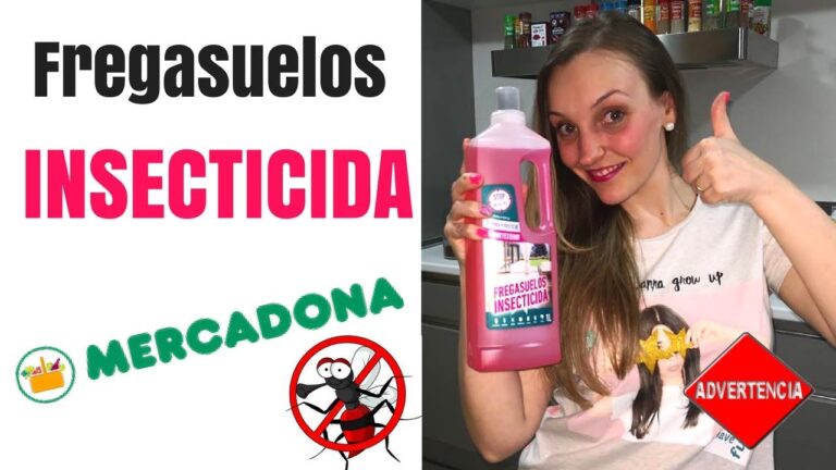 Limpieza Profunda de Terrazas: Prevenci&oacute;n Efectiva de Plagas