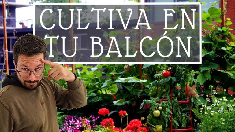 Huertos Urbanos: Cultivando en Peque&ntilde;os Balcones