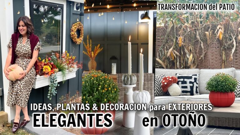 Terrazas Estilosas: Maceteros Decorativos que Transforman