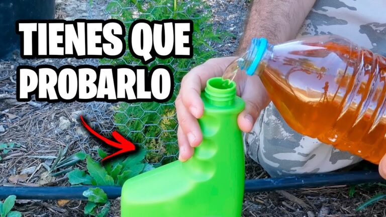 Gu&iacute;a Esencial para el Mantenimiento de Terrazas Libres de Plagas