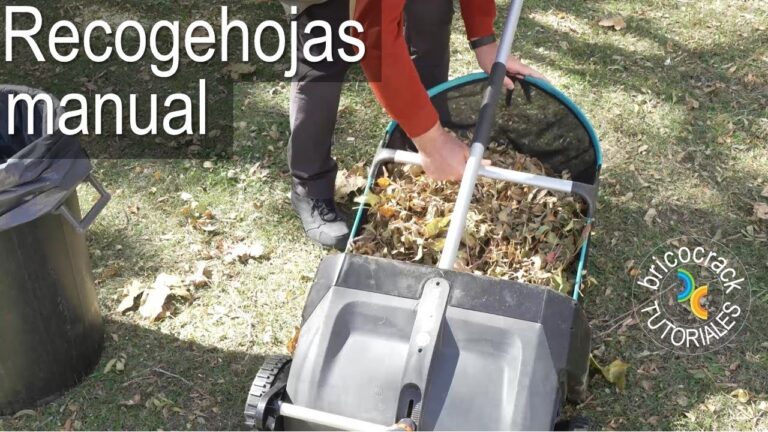 Terrazas Sostenibles y Limpias: Claves para un Espacio Ecol&oacute;gico