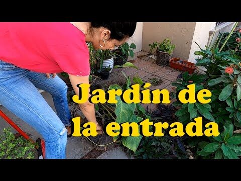 Consejos Efectivos para Limpiar Terrazas con Macetas
