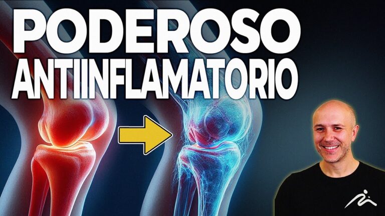 Maximiza tu Eficacia: Beneficios de Aprovechar su Uso