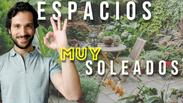 Estrategias Ecol&oacute;gicas para el Mantenimiento de Terrazas
