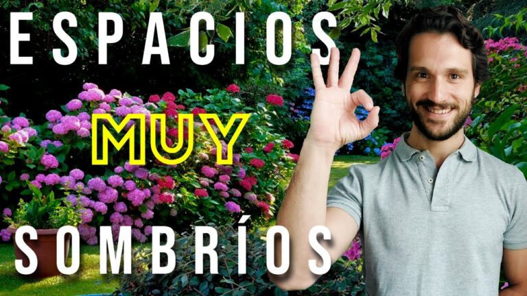 Terrazas Naturales para Espacios Sombreados