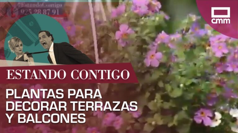 Transforma tu balc&oacute;n con decoraci&oacute;n verde y plantas colgantes