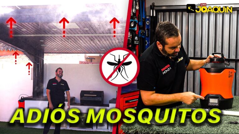 Estrategias Efectivas para la Desinfecci&oacute;n de Terrazas Contra Insectos