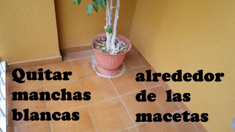 Estrategias Efectivas para Eliminar Suciedad de Terrazas con Macetas