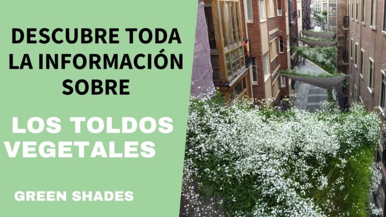 Innovaci&oacute;n en Toldos para Terrazas: Soluciones Modernas y Eficientes