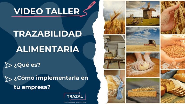 Mejorando la Trazabilidad para Cumplir Regulaciones
