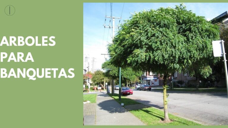 Cerramientos para Patios: Privacidad y Protecci&oacute;n Efectiva