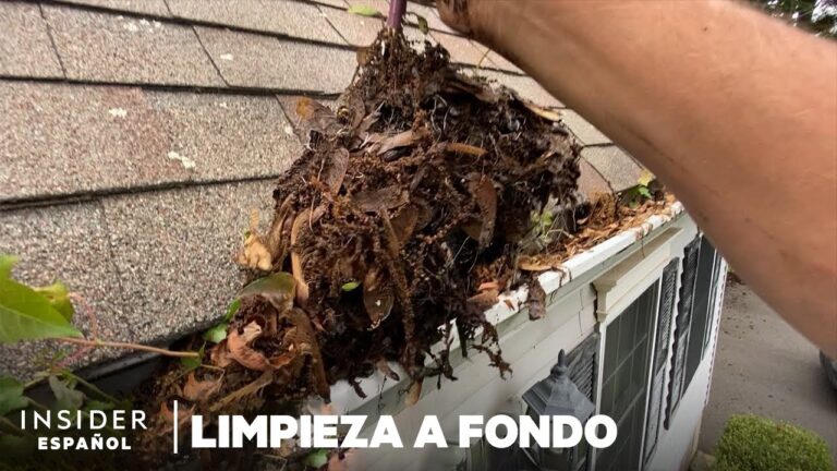 Herramientas Efectivas para la Limpieza de Terrazas y Canalones