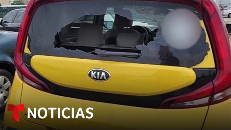 Toldos Exclusivos para Proteger tu Coche del Sol